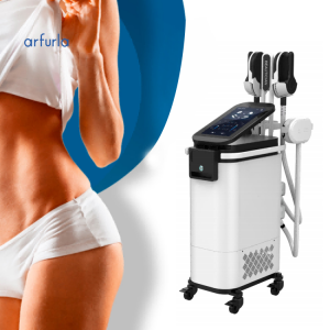 Vertical EMT Body Slimming Machine Building Muscle and Body Treatment
