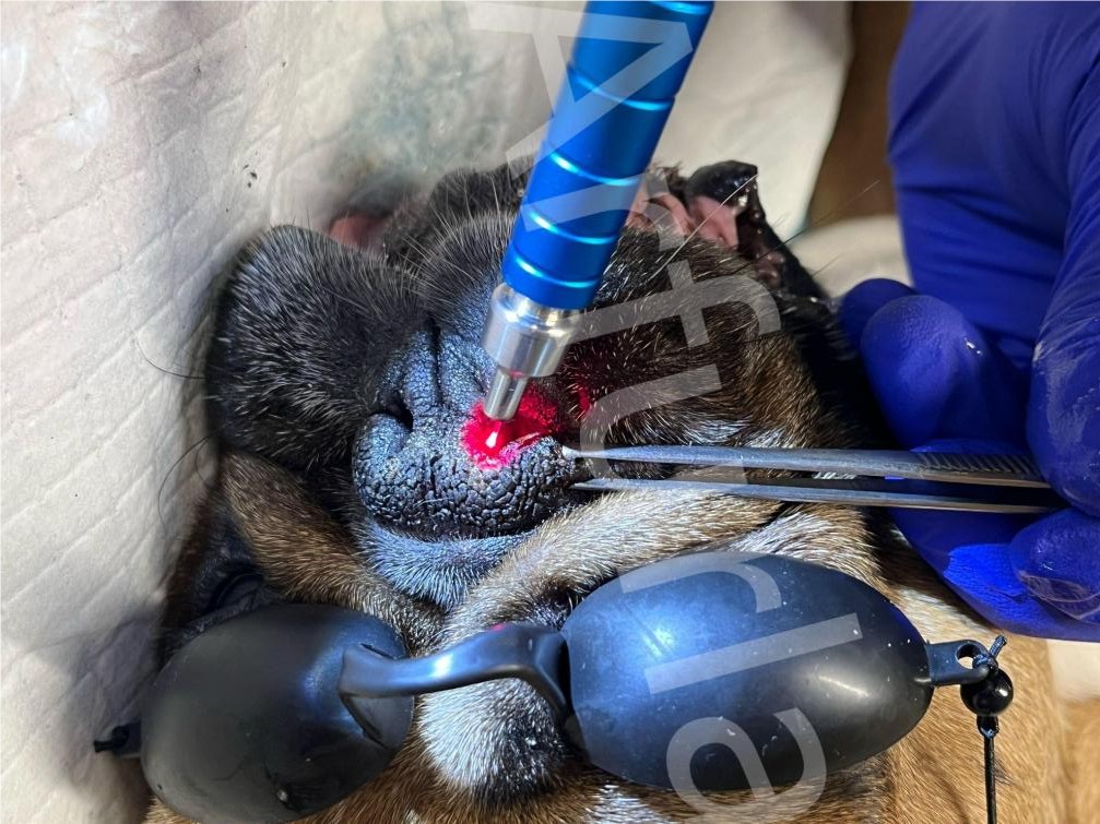 soft tissue cutting-6