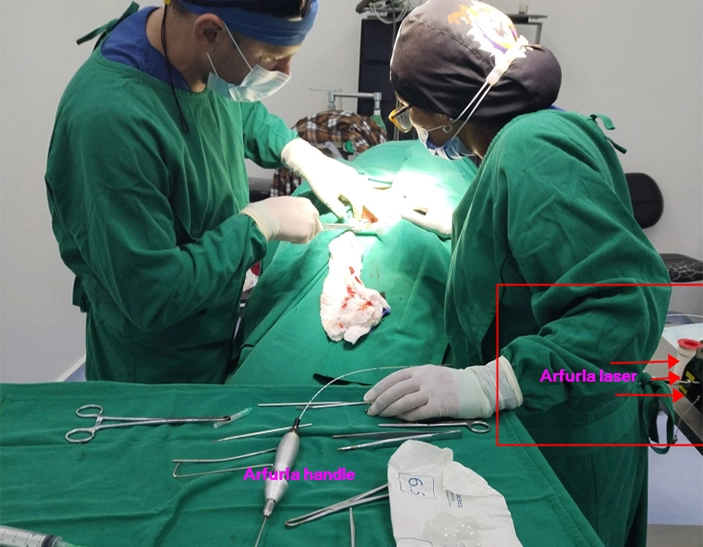 Diode laser Hemorrhoids Proctology Treatment machine