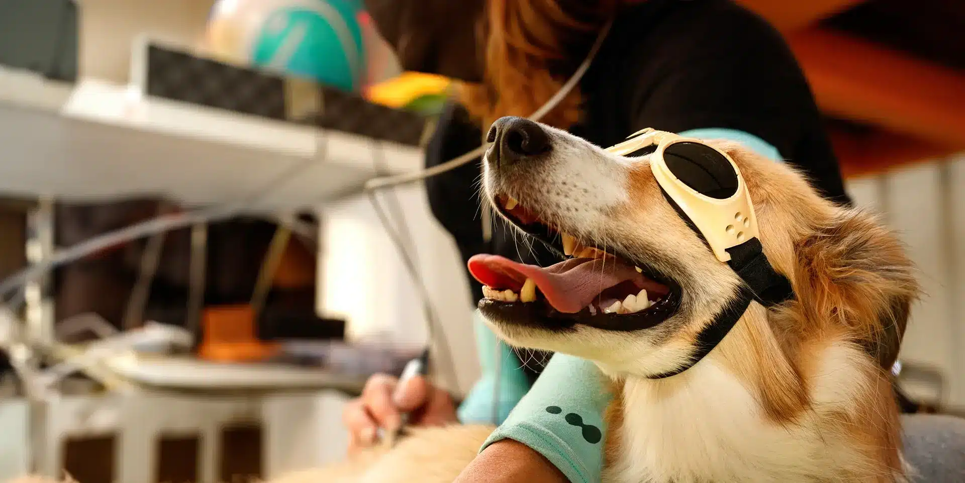 Veterinary Laser Therapy machine manufacturer